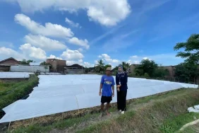 kisah-mantri-bri-di-lombok-dorong-ekonomi-petani