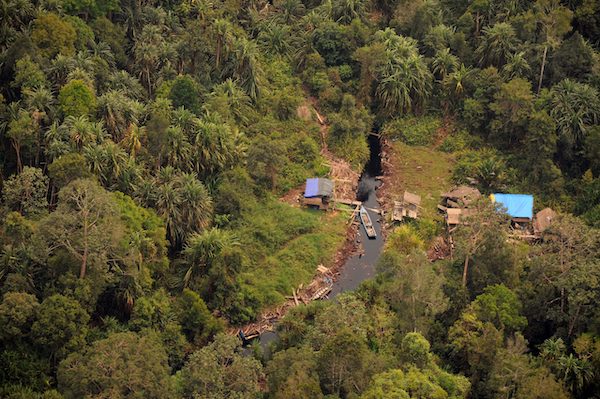 hutan-untuk-korporasi:-ironi-proyek-karbon-april-group-membangun-ancaman-deforestasi-semu