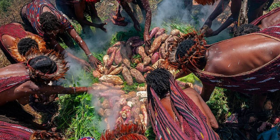 Tradisi Bakar Batu di Papua dan Filosofi di Baliknya