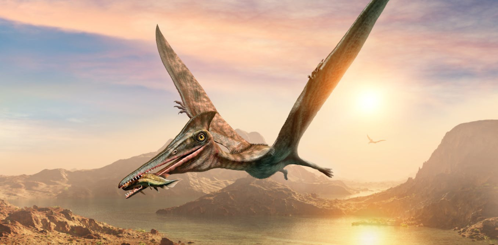 how-we-worked-out-a-fossilised-‘pterosaur’-was-actually-a-fish-–-new-research