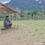 ansor-dorong-pemulihan-ekonomi-pascabanjir-aceh-timur,-fokus-pada-petani