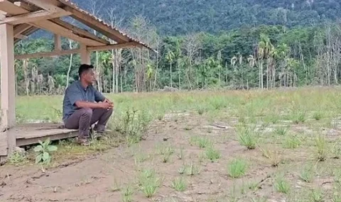 ansor-dorong-pemulihan-ekonomi-pascabanjir-aceh-timur,-fokus-pada-petani