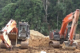 jejak-merkuri-sampai-kerusakan-hutan-tambang-emas-ilegal-mandailing-natal