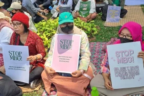 suara-ibu-yang-diabaikan-di-mbg:-jangan-cuma-peduli-angka-di-atas-kertas-tapi-abaikan-kualitas