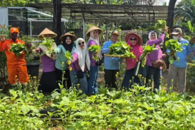 aksi-nyata-kelompok-perempuan-di-tengah-karut-marut-kelola-sampah-jakarta