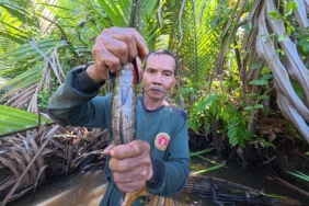nelayan-dan-petani-kotabaru-terdampak-tambang-batubara