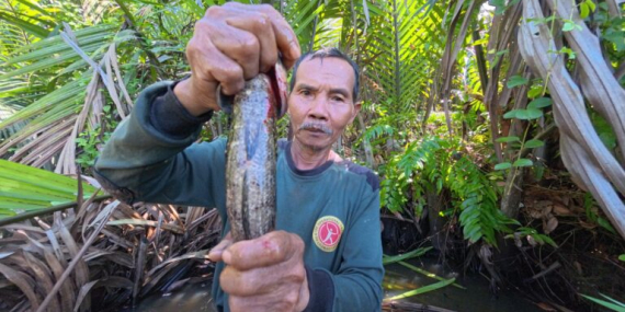 nelayan-dan-petani-kotabaru-terdampak-tambang-batubara