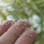 ilmuwan-ungkap-buah-dan-sayur-dengan-kandungan-mikroplastik-tinggi,-hati-hati-bun!