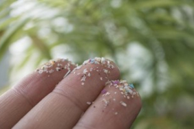 ilmuwan-ungkap-buah-dan-sayur-dengan-kandungan-mikroplastik-tinggi,-hati-hati-bun!