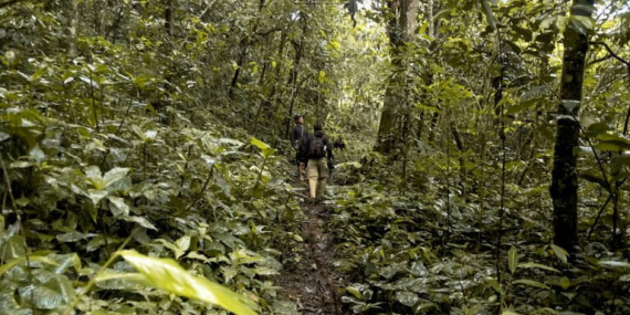 mencari-jejak-jalur-garam-di-besemah