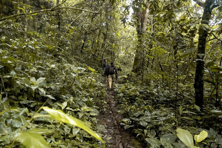 mencari-jejak-jalur-garam-di-besemah