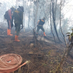 waswas-el-nino-godzilla,-waspada-karhutla-dan-kekeringan-ekstrem