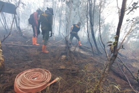 waswas-el-nino-godzilla,-waspada-karhutla-dan-kekeringan-ekstrem