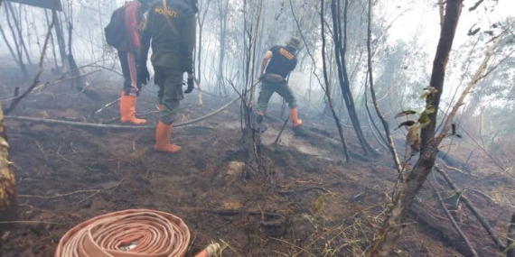 waswas-el-nino-godzilla,-waspada-karhutla-dan-kekeringan-ekstrem