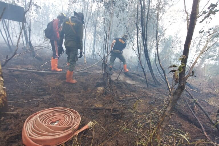 waswas-el-nino-godzilla,-waspada-karhutla-dan-kekeringan-ekstrem
