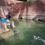 ketika-mata-air-mulai-mengering,-krisis-air-hantui-jawa-dan-madura?