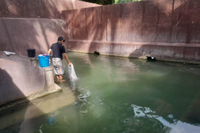 ketika-mata-air-mulai-mengering,-krisis-air-hantui-jawa-dan-madura?