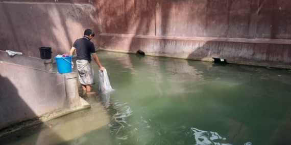 ketika-mata-air-mulai-mengering,-krisis-air-hantui-jawa-dan-madura?