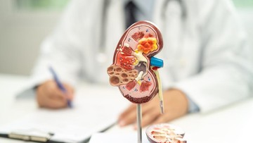 ternyata-ini-kebiasaan-warga-ri-yang-picu-lonjakan-gagal-ginjal,-waspada-bun!