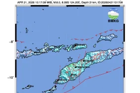 gempa-bumi-berkekuatan-6,0-guncang-ntt,-tidak-berpotensi-tsunami