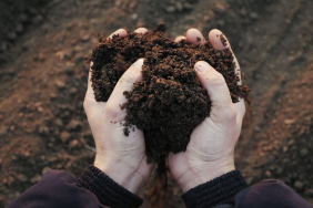 kompos-jasad-manusia-jadi-alternatif-pemakaman,-begini-prosesnya