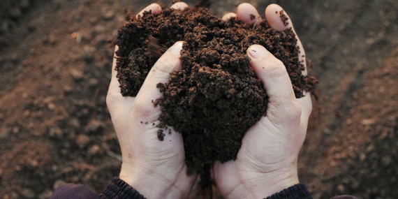 kompos-jasad-manusia-jadi-alternatif-pemakaman,-begini-prosesnya