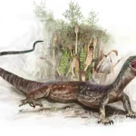breugnathair:-‘ular-palsu’-yang-mengungkap-misteri-hubungan-tersembunyi-ular-dan-biawak