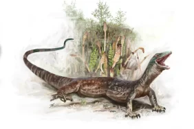 breugnathair:-‘ular-palsu’-yang-mengungkap-misteri-hubungan-tersembunyi-ular-dan-biawak