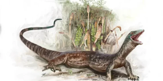 breugnathair:-‘ular-palsu’-yang-mengungkap-misteri-hubungan-tersembunyi-ular-dan-biawak