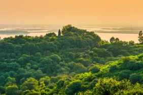 khutbah-jumat:-meneladani-persahabatan-nabi-dengan-alam