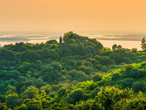 khutbah-jumat:-meneladani-persahabatan-nabi-dengan-alam