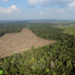 seribu-luka-di-hari-bumi