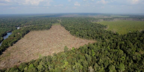 seribu-luka-di-hari-bumi