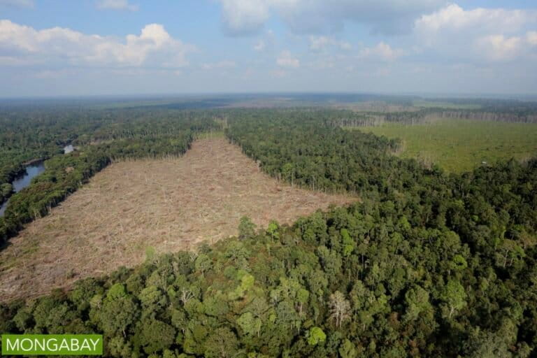 seribu-luka-di-hari-bumi