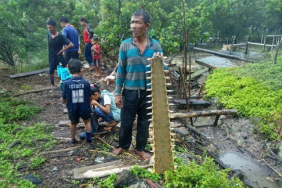 opini:-nasib-pari-gergaji-di-hari-bumi