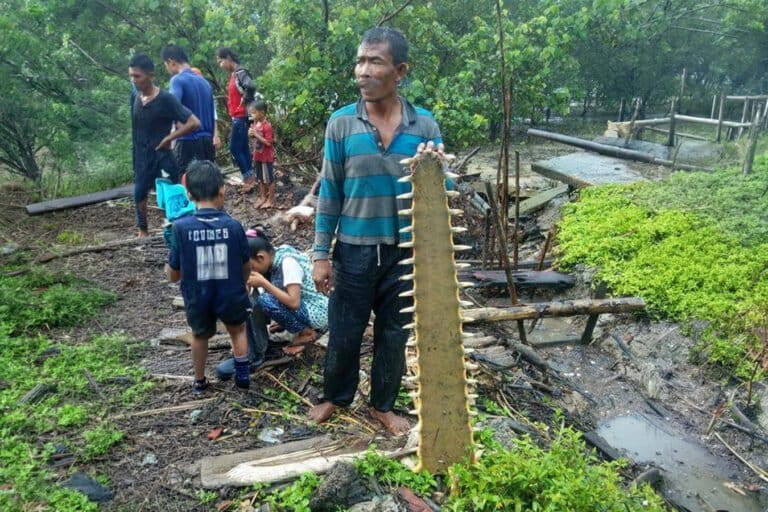 opini:-nasib-pari-gergaji-di-hari-bumi