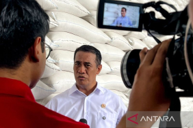 kepala-bapanas:-harga-beras-sphp-tak-naik,-pembelian-maksimal-5-pak