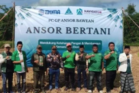 ansor-bertani,-bawean-kelola-lahan-produktif-kembangkan-pertanian-berkelanjutan