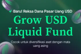 baru!-reksa-dana-grow-usd-liquid-fund-tersedia-di-bibit