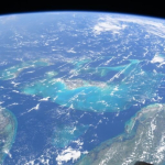 mustahil-tapi-nyata:-kupu-kupu-ini-terbang-4.200-km-melintasi-samudera-atlantik-tanpa-berhenti