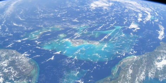 mustahil-tapi-nyata:-kupu-kupu-ini-terbang-4.200-km-melintasi-samudera-atlantik-tanpa-berhenti