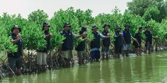 bri-perkuat-ekosistem-pesisir-lewat-penanaman-500-mangrove