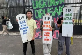 walhi-nilai-psn-bukan-solusi,-justru-percepat-deforestasi-dan-rampas-ruang-hidup-rakyat