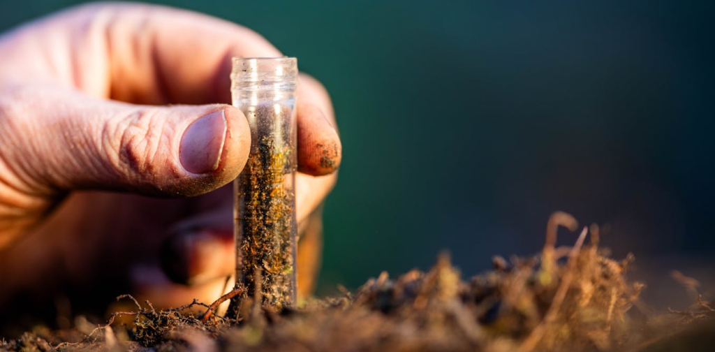 soil-monitoring:-what-the-new-eu-wide-‘ground-rules’-have-in-store-for-europe