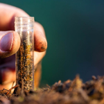 soil-monitoring:-what-the-new-eu-wide-‘ground-rules’-have-in-store-for-europe