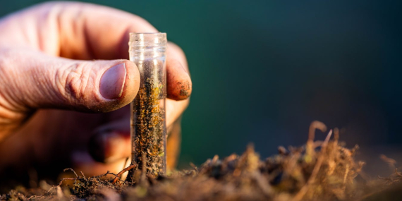 soil-monitoring:-what-the-new-eu-wide-‘ground-rules’-have-in-store-for-europe