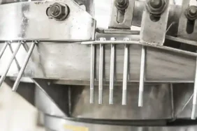 bolt-putuskan-kasih-cuan-rp50-per-saham,-catat-tanggalnya