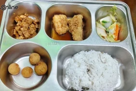 anggaran-fantastis-digitalisasi-gizi:-maslahat-publik-atau-salah-prioritas?