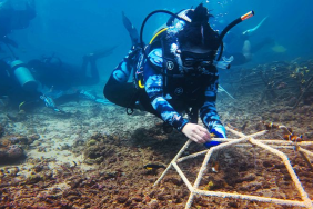 aksi-brigitta-gunawan-selamatkan-karang-lewat-teknologi-vr-dan-edukasi