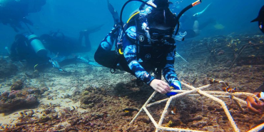 aksi-brigitta-gunawan-selamatkan-karang-lewat-teknologi-vr-dan-edukasi